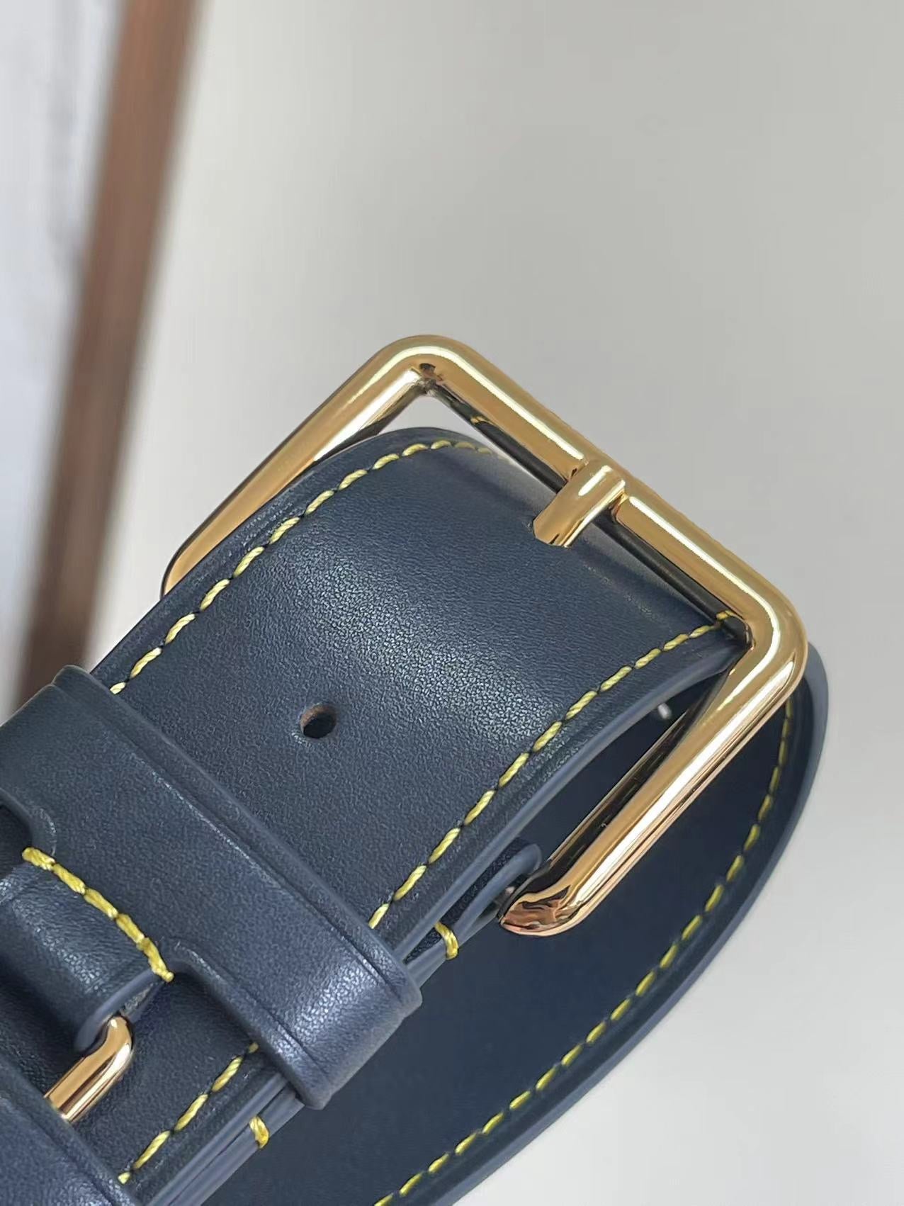 Tracolla Louis Vuitton Blu e Verde Acqua